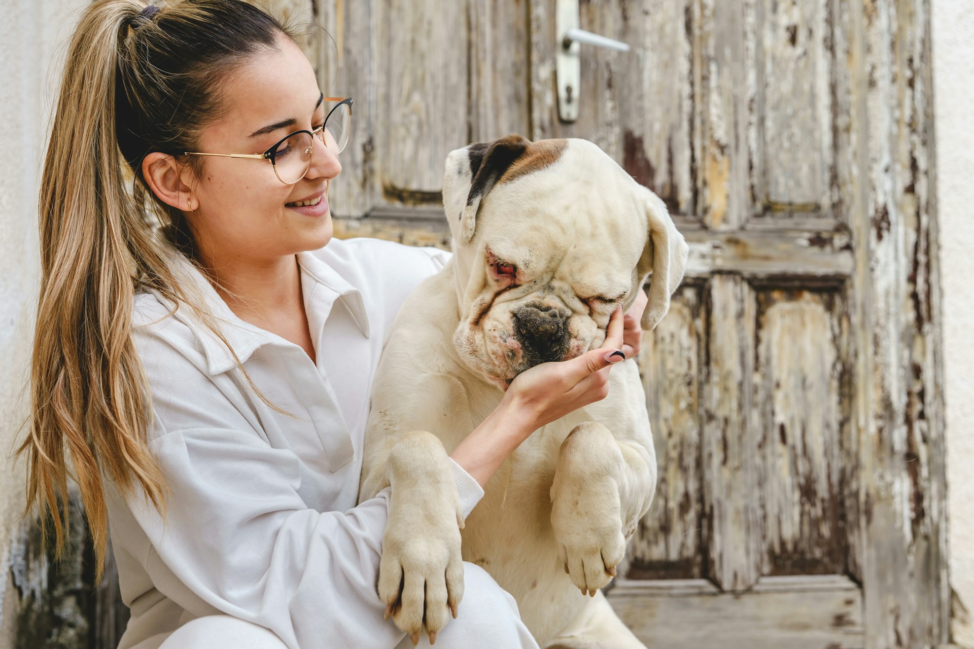 How to Treat Cherry Eye in Dogs Without Surgery: 3 Options | Homeaglow